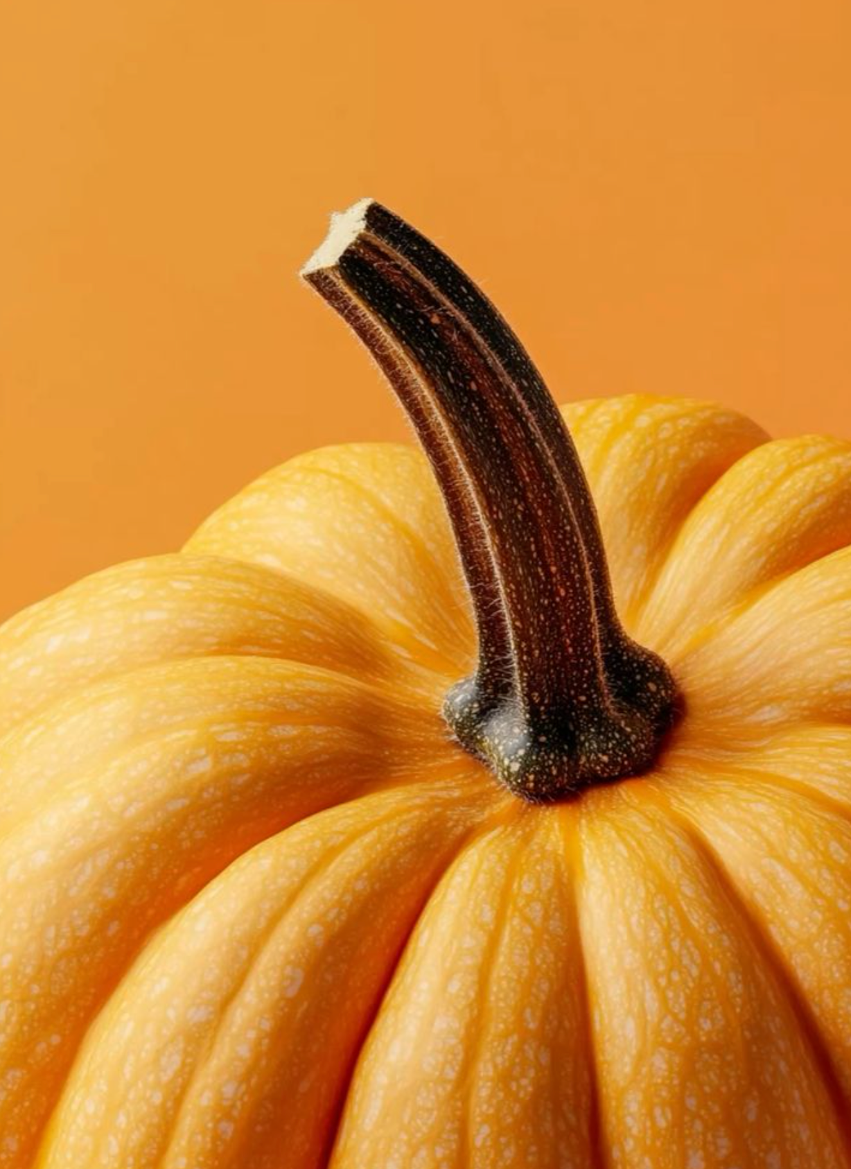 You had me at Pumpkin Spiced Latte
